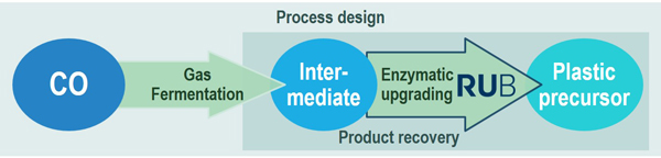 Bioconversion Process Design
