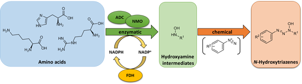 Chembiocat 1 _eng_